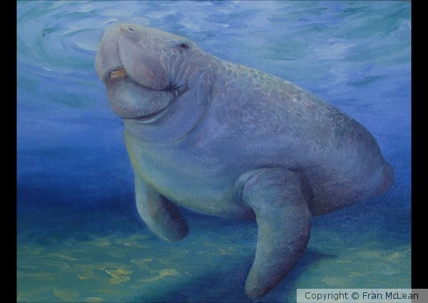 Gentle Creature