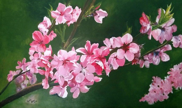 spring is here