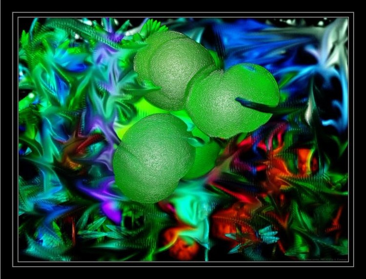 Green Fruits