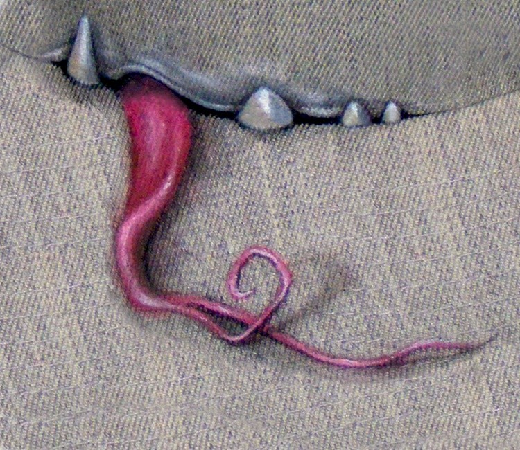 teeth