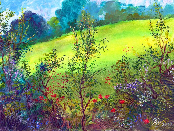 Summer Meadow