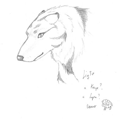 a lupra ? or koupe ? 0.O dunno
