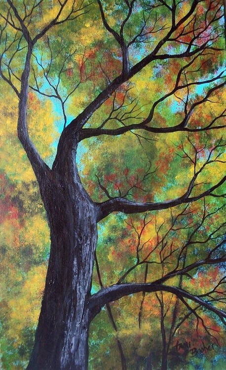 a view through the trees
