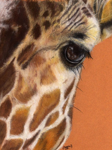 Up close and personal