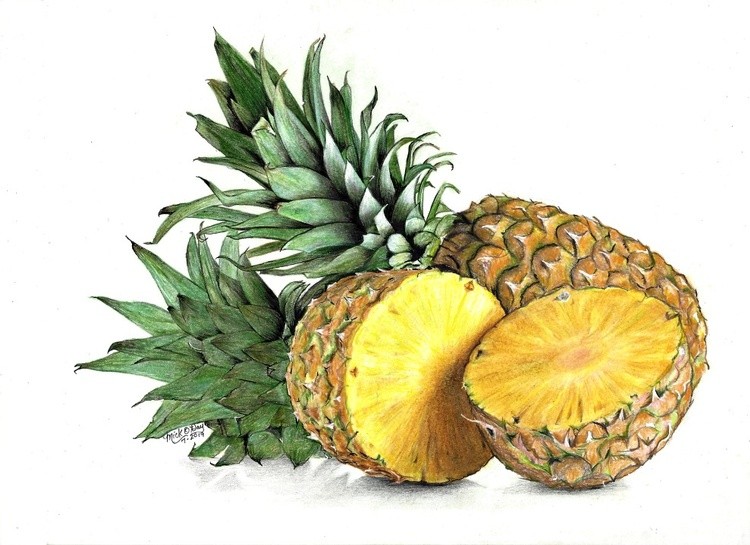 pineapple1b