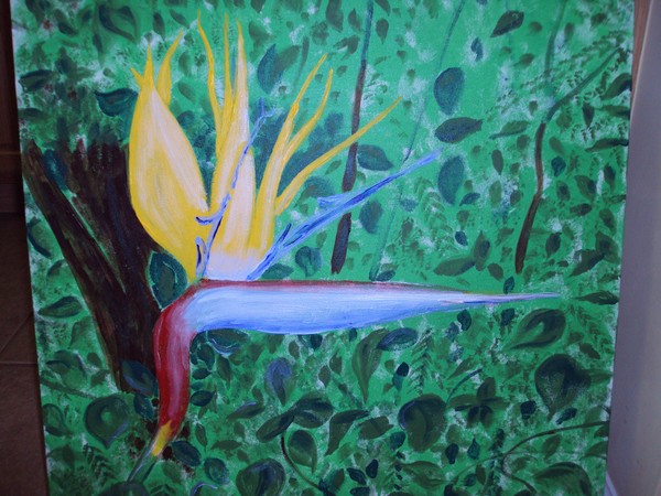 Bird of Paradise