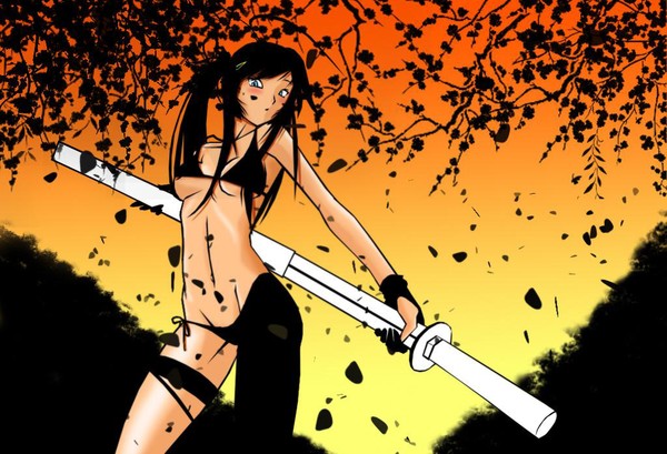 sunset samurai
