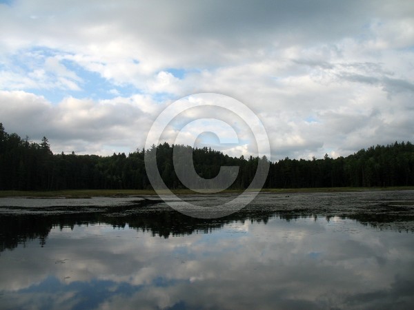 Reflections
