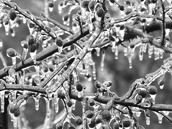 Ice Storm