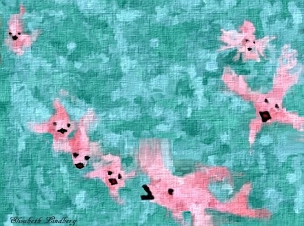 Pink fish in the water 