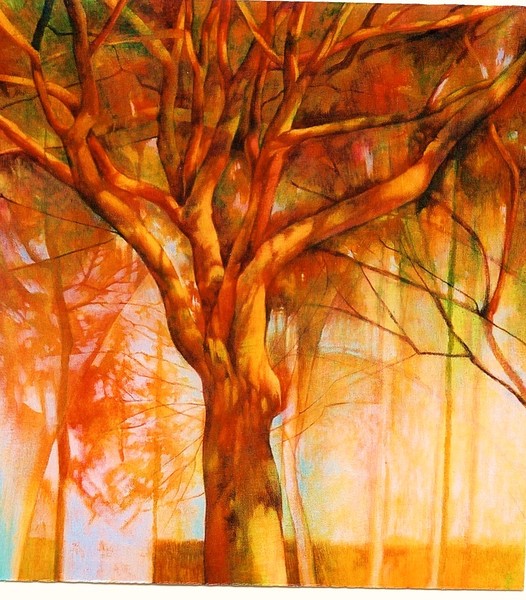 Tree Series Exhibition London 2003