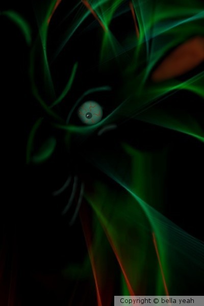 evil bird