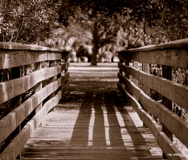 the bridge at al lopez park 