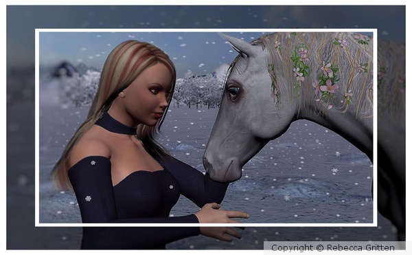 Beautiful Winter1