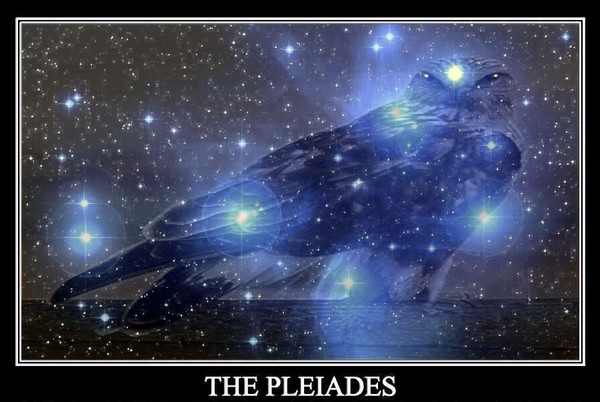 pleiades8