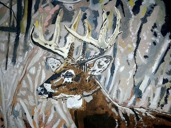 Deer # 2