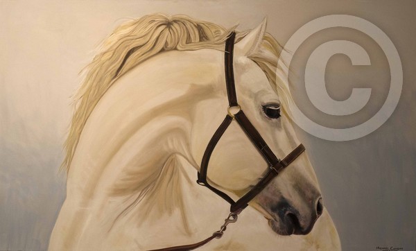 White Stallion