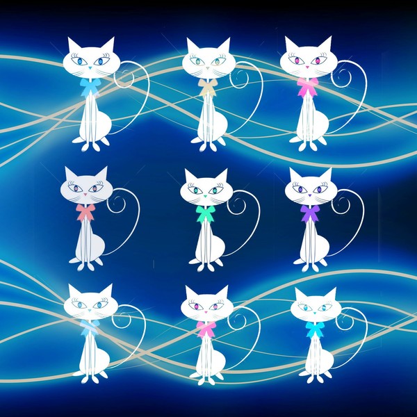 9 cats