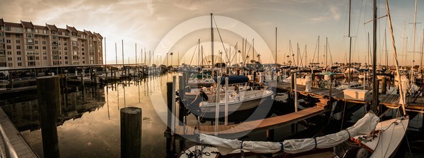 Dunedin Marina
