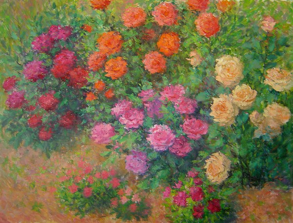 My rose garden