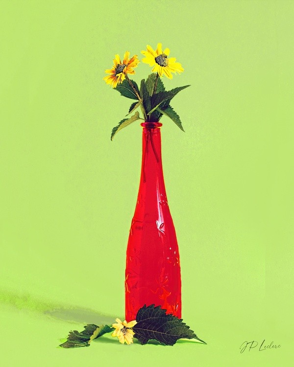 Floral # 37