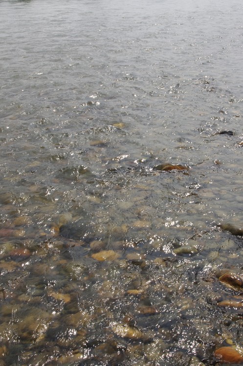 River Ripples over Rocks