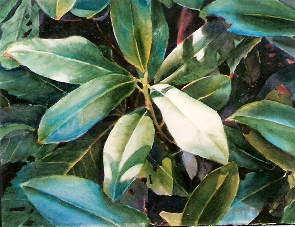 Rhody Leaves