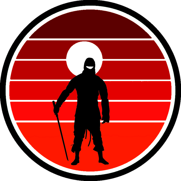 Ninja Assassin 