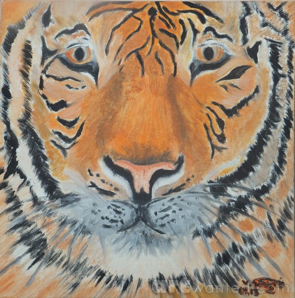 eye of the tiger