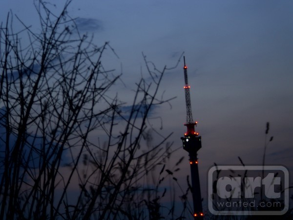 The tower