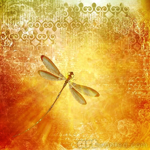 vintage dragonfly