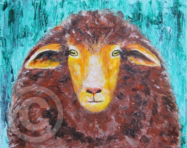 Lonely Sheep
