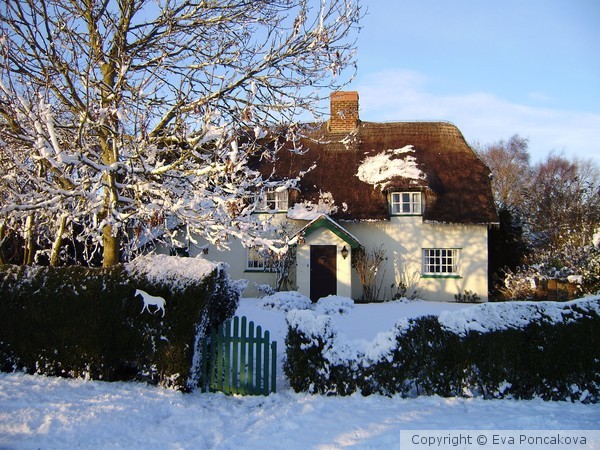 village secrets 2