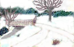 bridge winter