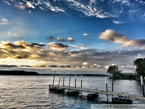 The Harbor