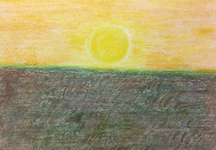 Sunrise over the field