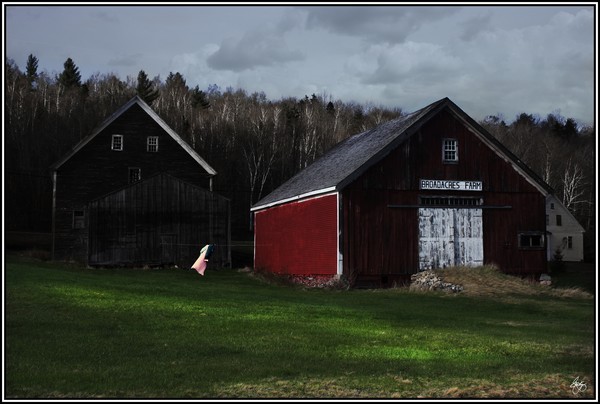 Nightgown on a Line - Broadacres Farm
