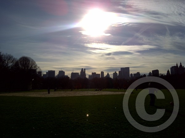 centralparkd