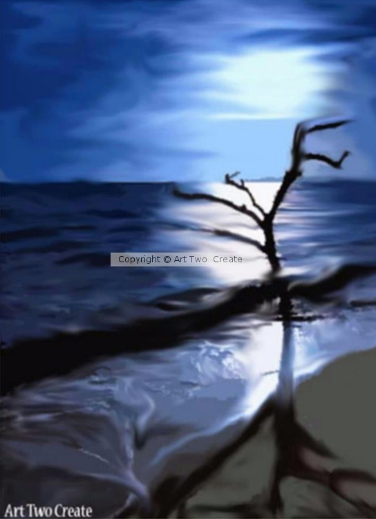 Moonlit On The Beach.