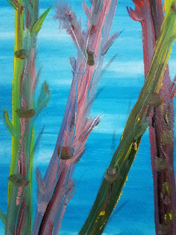 SEA BAMBOO
