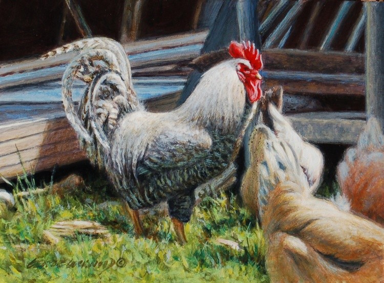 Ruling the Roost