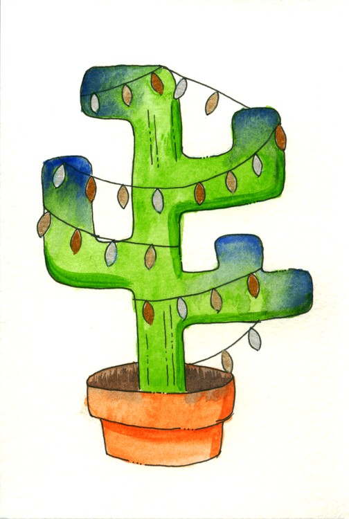 Christmas Cactus