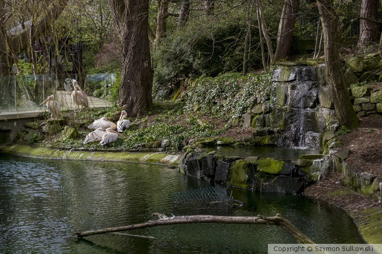 Edinburgh Zoo