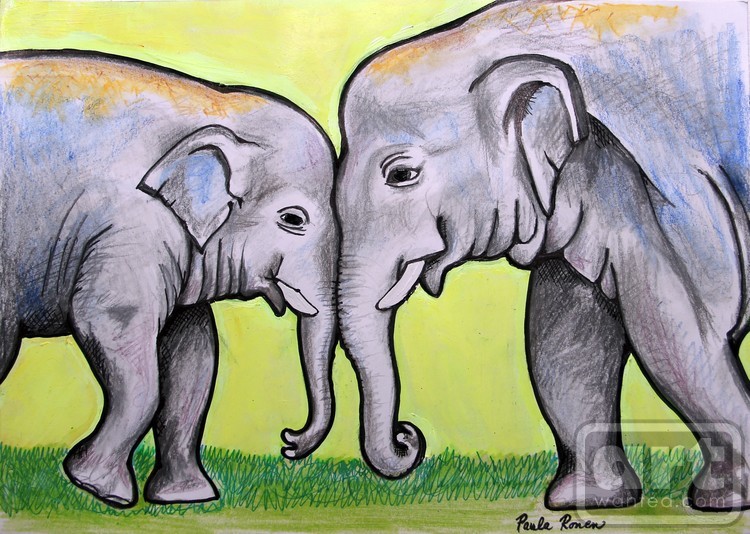 Elephants