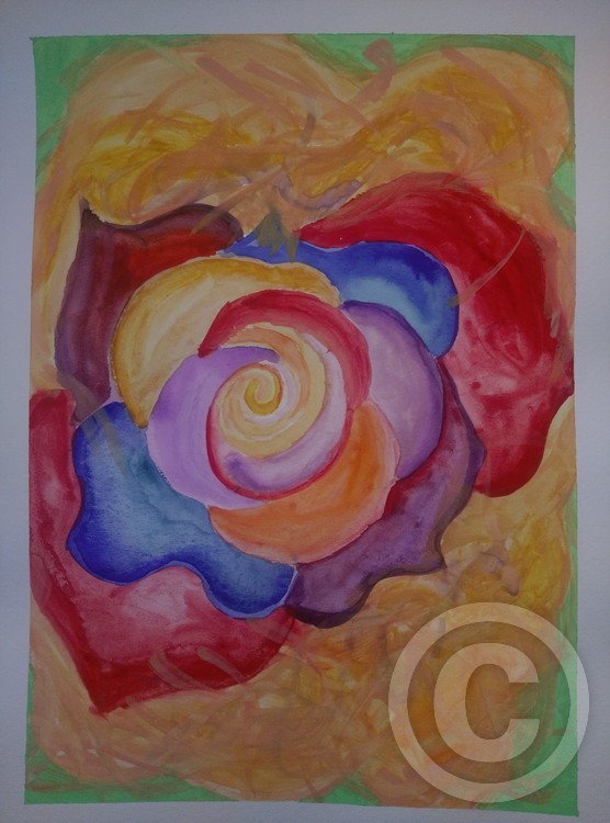 Spring rose
