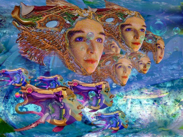 stapleface aquarium