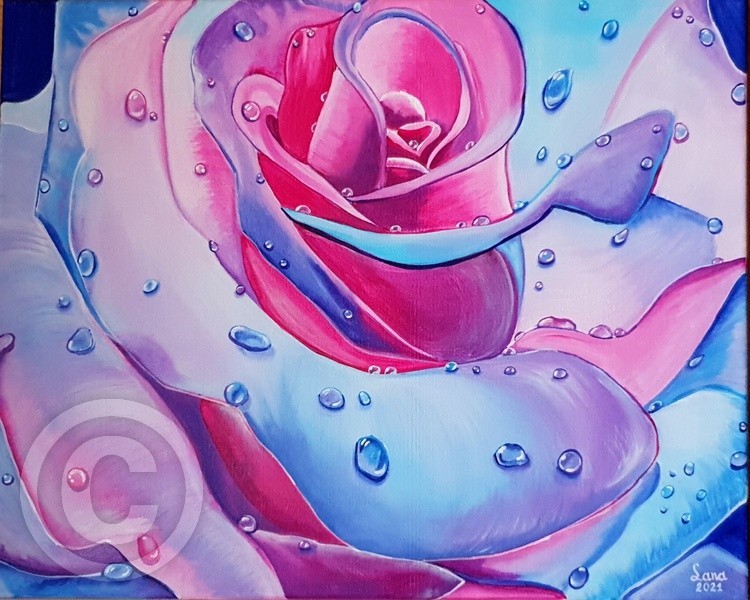 Blue Rose