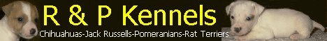 R & P Kennels Banner