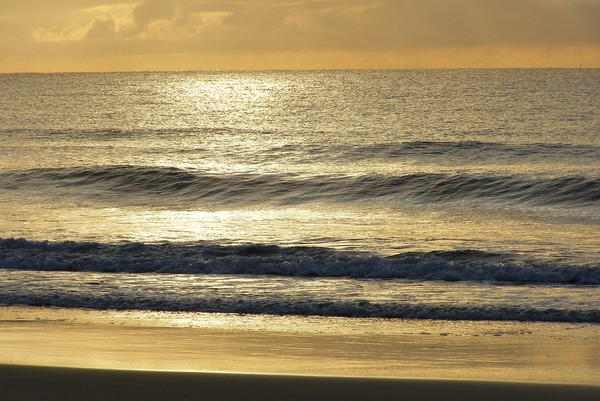 Gold coast