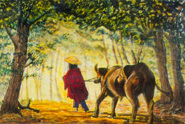 Early Morning Scene